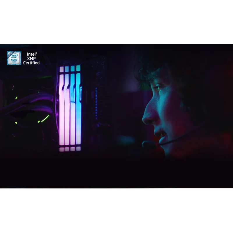 Kingston FURY White RGB 32GB(2 - Ddr5 6000Mhz のレビューと価格