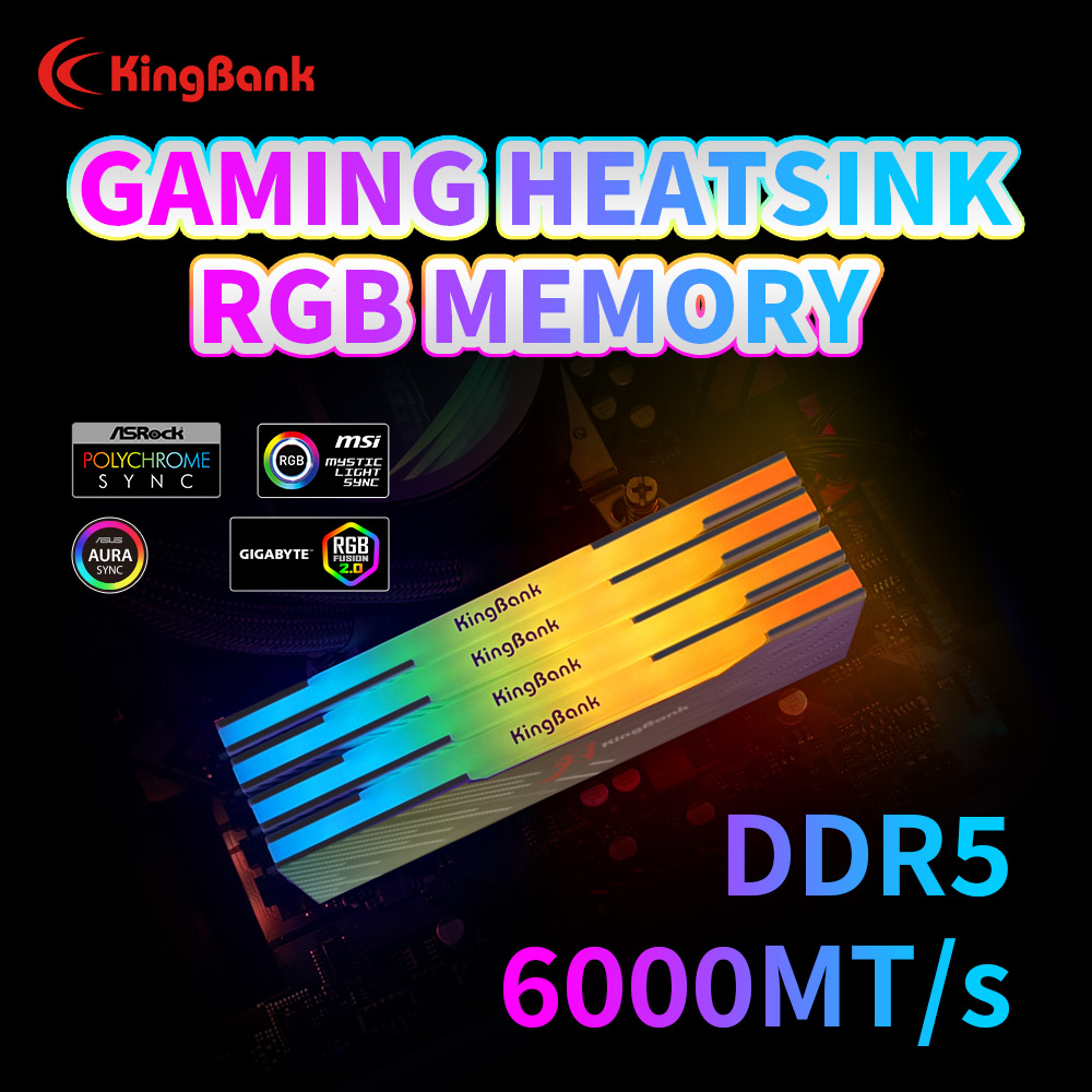 KingBank KRRB DDR5 RGB SoarBla - Ddr5 4800Mhz のレビューと価格