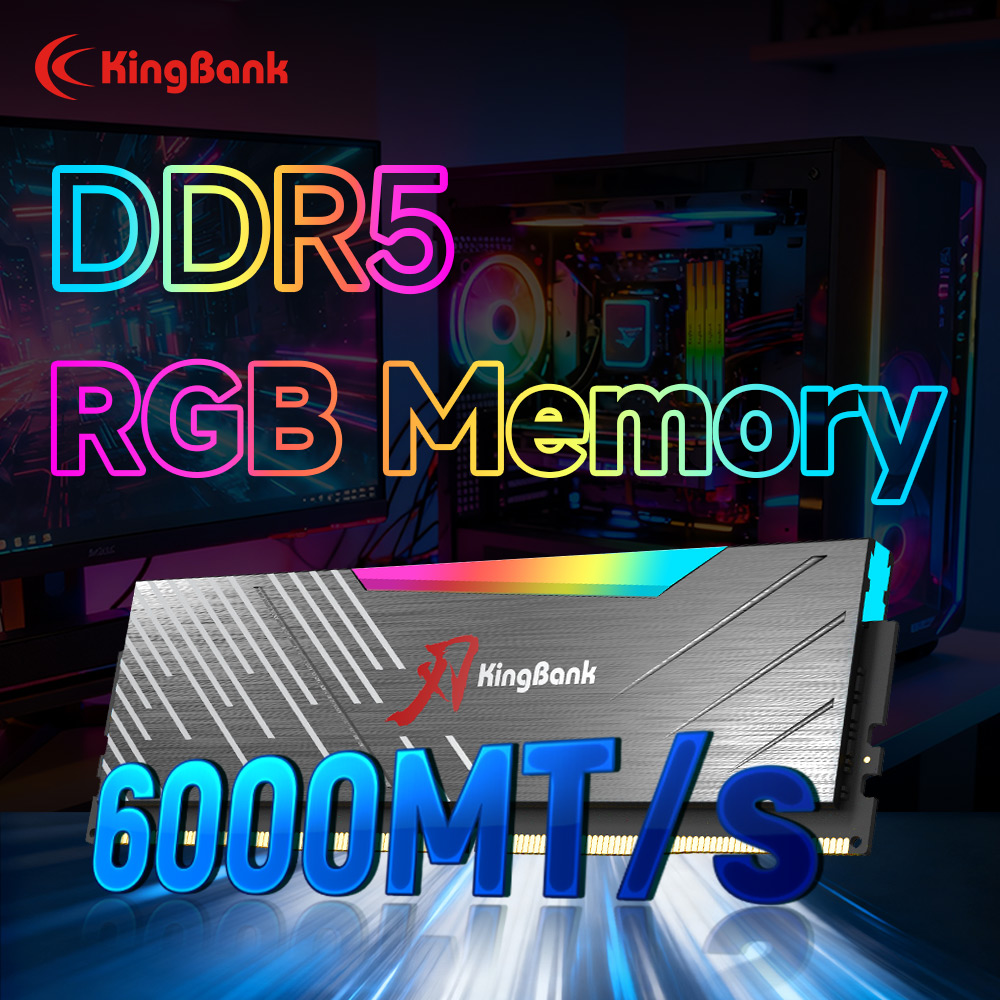 KingBank KRRB DDR5 RGB SoarBla - Ddr5 4800Mhz のレビューと価格