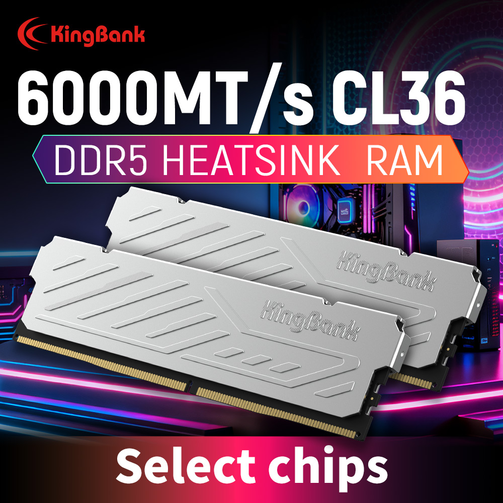KingBank KJXS DDR5 RAM 16GB /  - Ddr5 16Gb 6000Mhz のレビューと価格