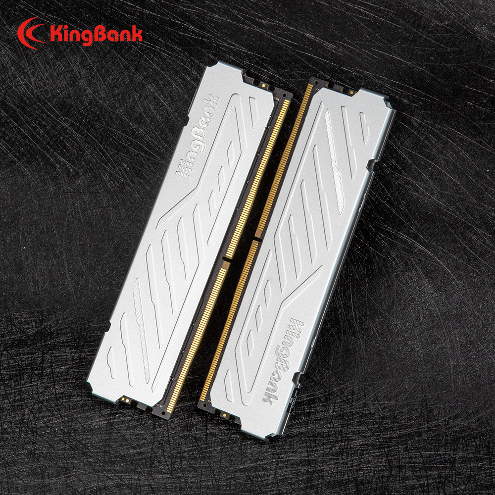 KingBank KJXS DDR5 RAM 16GB /  - Ddr5 16Gb 6000Mhz のレビューと価格