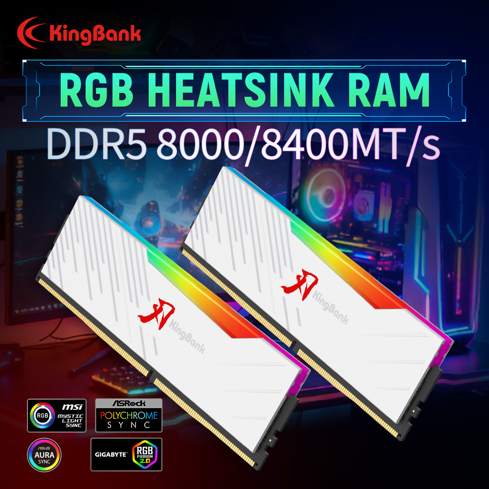KINGBANK KRRW DDR5 RAM 48GB (2 - Ddr5 4800Mhz のレビューと価格